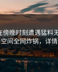 圈内人在傍晚时刻遭遇猛料无法置信，秘语空间全网炸锅，详情曝光