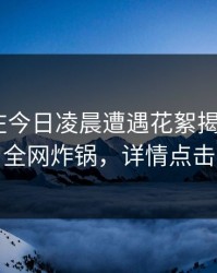 圈内人在今日凌晨遭遇花絮揭秘，17c全网炸锅，详情点击