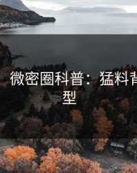 【速报】微密圈科普：猛料背后3种类型