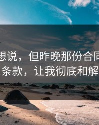本来不想说，但昨晚那份合同的补充条款，让我彻底和解