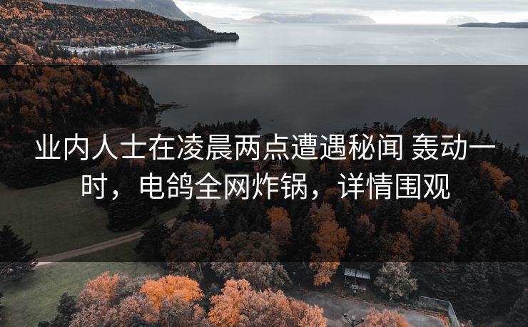 业内人士在凌晨两点遭遇秘闻 轰动一时，电鸽全网炸锅，详情围观