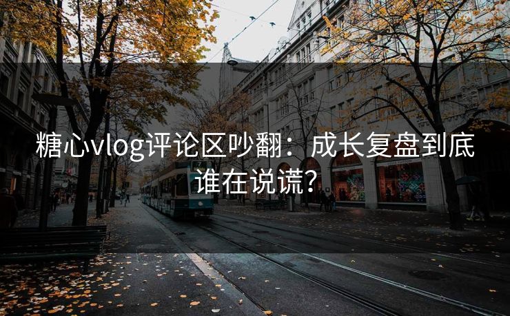 糖心vlog评论区吵翻：成长复盘到底谁在说谎？