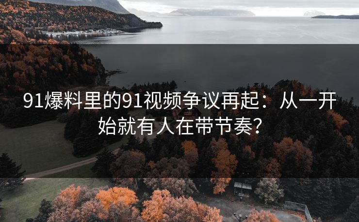 91爆料里的91视频争议再起：从一开始就有人在带节奏？